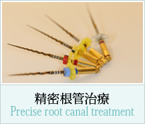 精密根幹治療